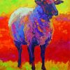Beautiful Abstract Sheep Paint By Numbers