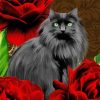 Black Cats With Red Flowers Art Paint By Numbers