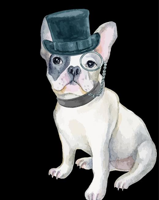 Bulldog With Hat Paint By Numbers