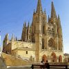 Cathedral Of Saint Mary Spain Burgos Paint By Numbers