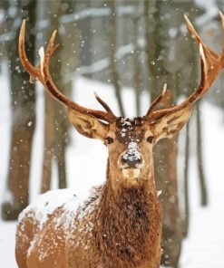 Deer In Woods At Winter Paint By Numbers