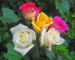 Yellow Pink And White Roses Paint By Numbers