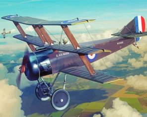 Black Fight Triplane Paint By Numbers