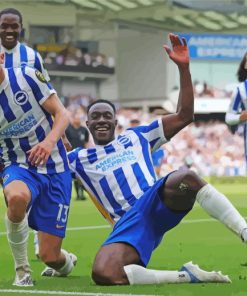 Brighton And Hove Albion Players Paint By Numbers