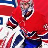 Carey Price Montreal Canadiens Paint By Numbers