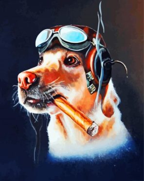 Dog With Cigar Paint By Numbers