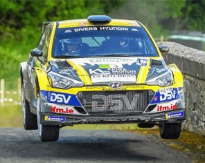 Donegal Rally Race Paint By Numbers