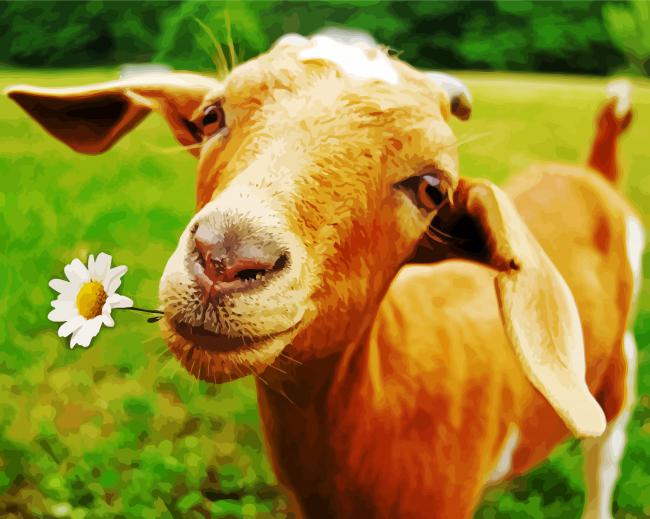 Goat And Daisy Flower Paint By Numbers
