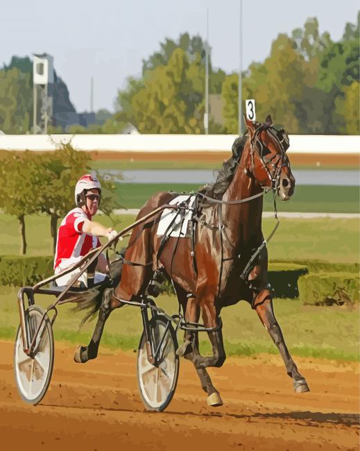 Harness Horse Race Paint By Numbers