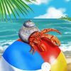 Hermit Crab On Ball Paint By Numbers
