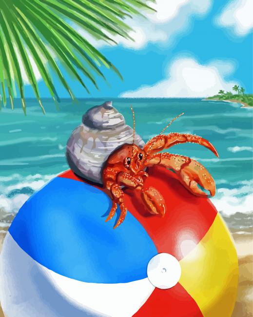 Hermit Crab On Ball Paint By Numbers