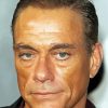 Jean Claude Van Damme Actor Paint By Numbers