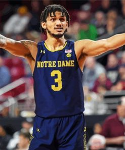 Notre Dame Basketball Player Paint By Numbers
