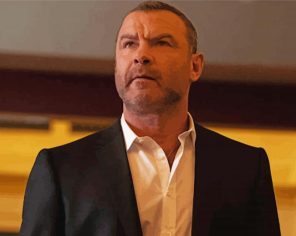 Ray Donovan Character Paint By Numbers