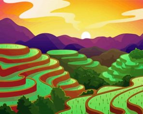 Rice Field Illustration Paint By Numbers