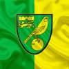 The Norwich City FC Logo Paint By Numbers
