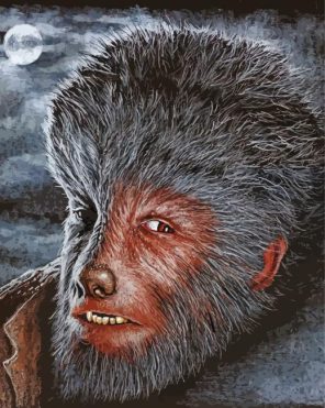 The Wolf Man At Night Art Paint By Numbers