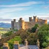 Wales The Harlech Castle Paint By Numbers