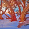 Aesthetic Snow Gums Trees Paint By Numbers