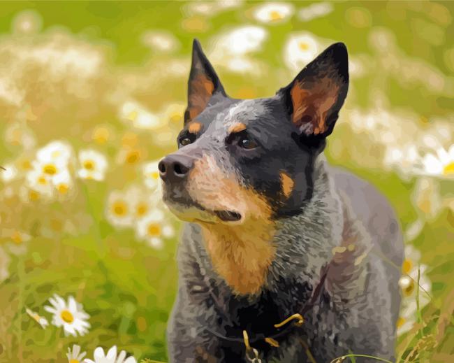 Australian Cattle Dog And Flowers Paint By Numbers