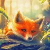 Beautiful Fox In Forest Art Paint By Numbers