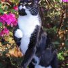 Black And White Cat And Flowers Paint By Number
