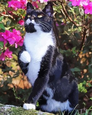 Black And White Cat And Flowers Paint By Number