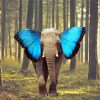 Blue Elephant Butterfly Paint By Numbers