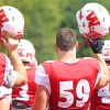 Denison University American Football Team Paint By Numbers