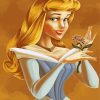 Disney Princess Aurore Art Paint By Numbers