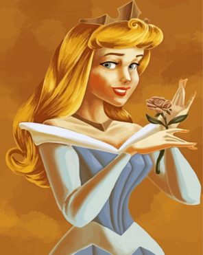 Disney Princess Aurore Art Paint By Numbers