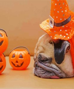 Halloween Pug Paint By Numbers