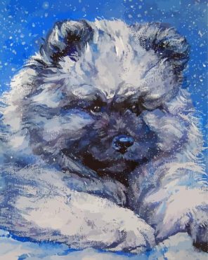 keeshond Puppy Art Paint By Numbers