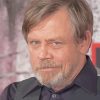 Mark Hamill Star Wars Paint By Numbers