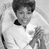 Monochrome Diahann Carroll Paint By Numbers