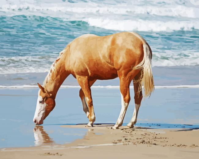 Palomino Quarter Horse At Beach Paint By Numbers