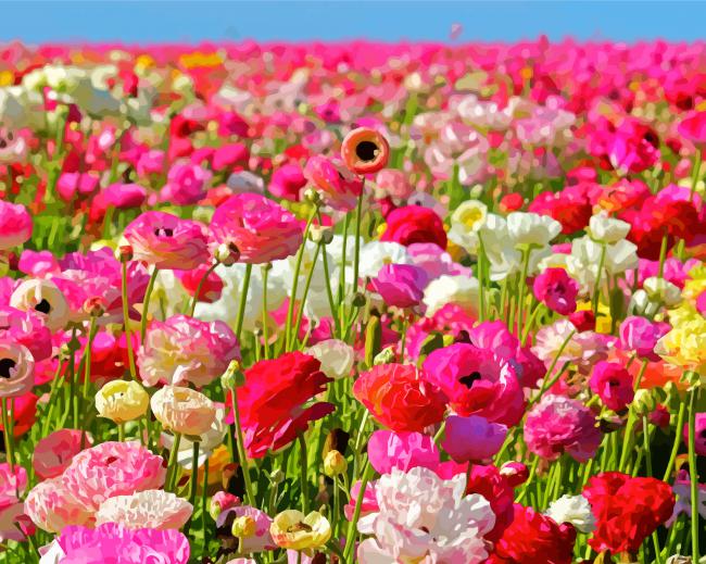 Pink Flowers In Field Paint By Numbers