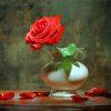 Red Single Rose In Vase Paint By Numbers