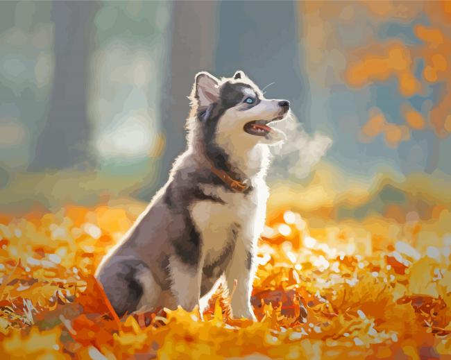 Sitting Dog On Fall Leaves Paint By Numbers