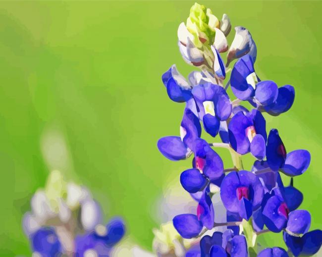 Texas Bluebonnet Flower Paint By Numbers