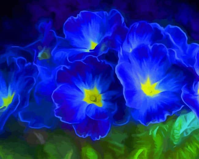 Primrose Blue Flowers Paint By Numbers