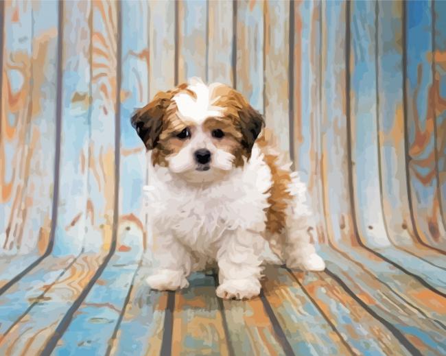Shihpoo Dog Paint By Numbers