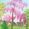 Pink Weeping Cherry Tree Paint By Number