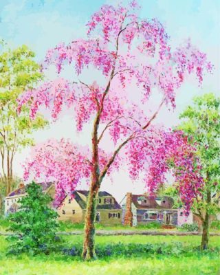Pink Weeping Cherry Tree Paint By Number 